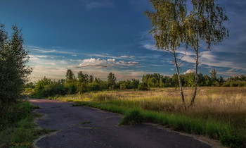 И снова вечер на землю спускается... / По дороге к родному порогу.