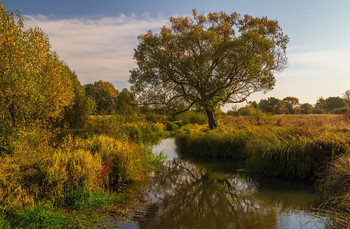 По дороге в Осень ... # 2 / По дороге в Осень ...