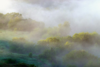 Там за туманами... / Тульская область, Ефремовский район, д.Ведьмино (Красногорье)