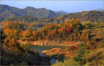 Все краски осени / Цветная осень. Южная Корея.