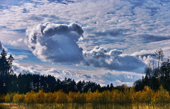 Сказочные Облака . / Причудливые облака порой бывают очень странны. На них внимательно взгляни - и там увидишь для взора образ необычный..