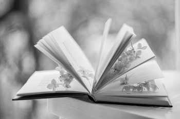 Сон / "Мне снилась осень в полусвете стекол..." (Борис Пастернак)