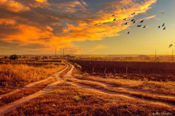 Осень / пейзаж осень