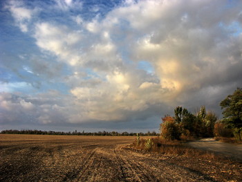 Полюшко поле / отдых поля
