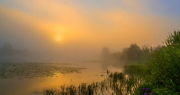 Летнее утро в тумане. / Туман на рассвете. Мещера, озеро Сосновое.