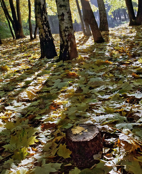 Засыпан лес осенней листвой... / Вот и кончилась золотая осень...