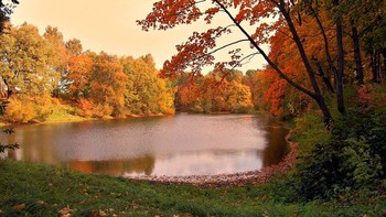 Осенняя зарисовка на пруду / Осенняя зарисовка на пруду