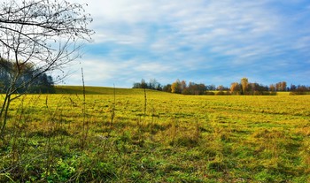 "Мои осенние поля... Как пусто в них..." / "Мои осенние поля ...
 Как пусто в них! Ни журавля,
 Ни аиста в холодном небе,
 Ни даже вздоха там о хлебе,
 Давно сошедшем в закрома.
 И где-то там уже зима
 Готовит белую угрозу,
 И дни одной щекой к морозу
 Идут, снижая облака ..."
 Е.Исаев