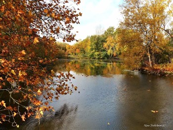 Утро вечера мудренее / Wilhelmsburger Inselpark Hamburg
https://www.youtube.com/watch?v=dNOCQPn2sZA
Dahliengarten Hamburg
https://www.youtube.com/watch?v=YIZZSauDE3w
Rosengarten. Planten un Blomen Hamburg:
https://www.youtube.com/watch?v=tKJmmXxh-1U&t=8s
Слайд-шоу "Парк цветов летом"
https://www.youtube.com/watch?v=glVWjqRqZr0
Слайд-шоу "Парк цветов весной"
https://www.youtube.com/watch?v=kJVKlWcQxCg
Слайд-шоу "Парк цветов осенью"
https://www.youtube.com/watch?v=_Q7gRXGUa5A
Слайд-шоу "Розы"
https://www.youtube.com/watch?v=2jSTxDgGqsI
Слайд-шоу "Цветы"
https://www.youtube.com/watch?v=JYadETNgWMY