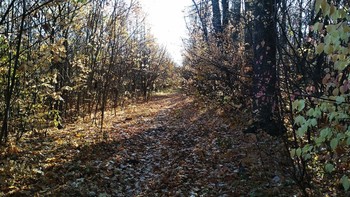Утро вечера мудренее / ...