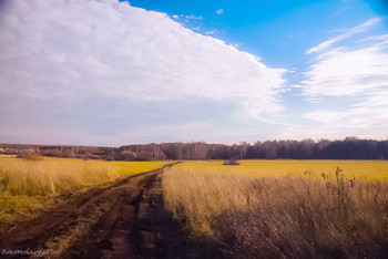 Полевая дорога / ...
