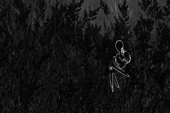 Заблудшая / Описание