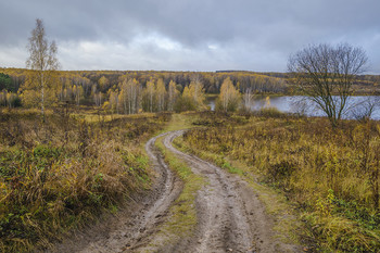 Осенняя дорога / Россия. Тульская область. Ленинский район. Архангельское.