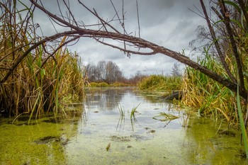 Октябрь / Где - то