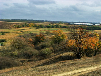 Тёплая осень / Ноябрь,спуск к реке,деревья,