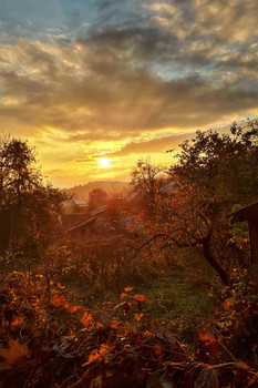 «Золотой закат» / Ноябрьский вечер, окрестности города.
Фотография сделана камерой мобильного телефона