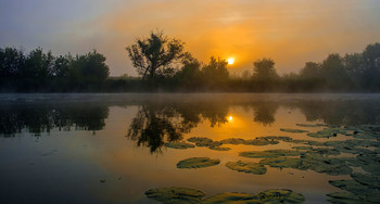 Утренний пейзаж. / Озеро Студёное, летний рассвет.