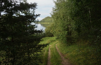 Дорога, что ведет меня к реке / &quot;Чапаевский утес&quot;, Моркино городище, Калининский район, тверская область