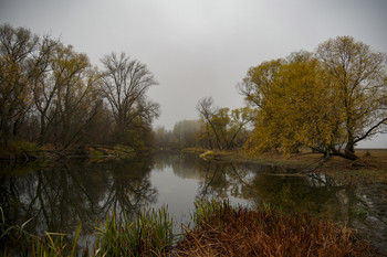 Осенний мотив / утро,туман,осень,река Айдар