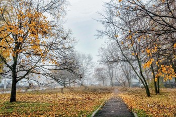 Где-то там / Утро ноября, туман, где-то там за туманом, за городом что-то.. В городской среде опустился туман ранним осенним утром. Дорожка среди осенних деревьев, и опавшая листва. Остатки листвы на ветвях деревьев в осенних красках, при утреннем свете после рассвета.. Идем в туман. Люблю фоткать при тумане... Загадочно, и неопределенно... И по дороге среди домов, во дворе..