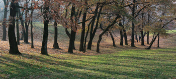 Осенние прогулки... / Московские парки...