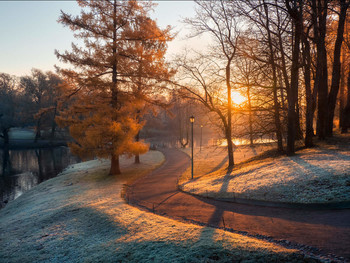 Утро в городском парке. / Ноябрьский рассвет в Дворцовом парке, Гатчина