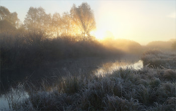 Морозное осеннее утро / Иней. Туман. Речка Тёша.
