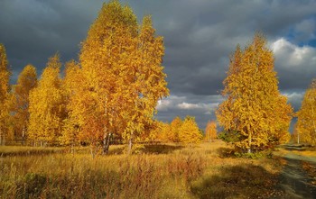 Осенний поцелуй ... / Южный Урал, Челябинская область, октябрь 2020