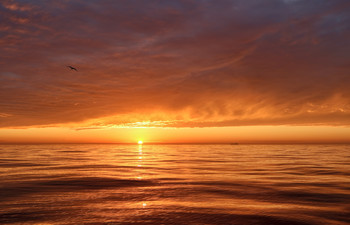 солнечный ветер / Один из последних летних вечеров в Охотском море..