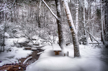 Скамейка в парке, припорошена снегом. / Национальный парк «Красноярские Столбы»
