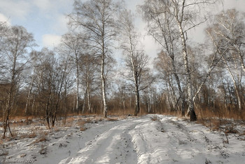 В предзимье / ...