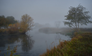 Октябрьские туманы / Осень 2020. Река Северский Донец.