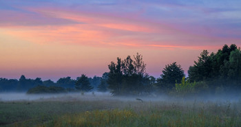 Утренний пейзаж. / В поле на рассвете.