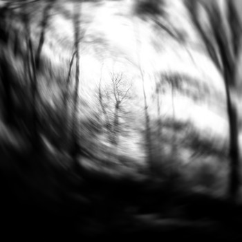  / \\\\