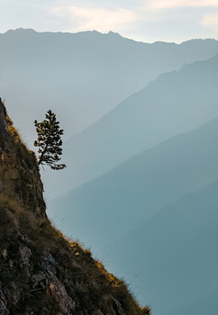 Высоко расту! / В горах Ингушетии.
Конец сентября, 2020 год.
Фотопроект «Кавказ без границ».