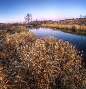 &nbsp; / Панорама