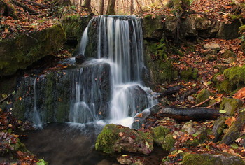 В обрамлении осени / Осень.
2020 год