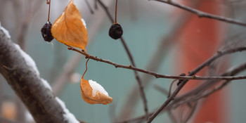 Маленькая порция снега / Небольшой снег
