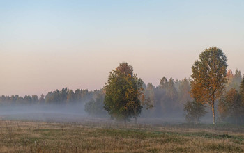 На солнечной полянке / Стелится туман