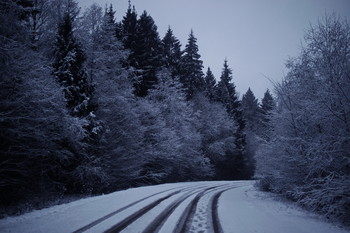 Ноябрьские сумерки . / Домашнее фото .