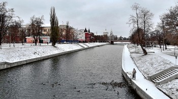 Кормление уток ноябрьским днём на реке / Кормление уток ноябрьским днём на реке