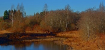 &quot;Предзимье...&quot; / &quot;...Вдали от шума городского,
Я, обо всех делах забыв,
Сегодня оказался снова,
В краю берёз, ракит и ив...!&quot;