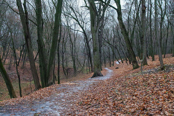 Вчерашний снег / Ноябрьские тропинки парка
