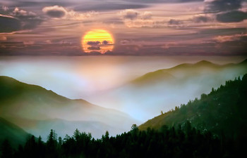 Где-то в горах... / туман стелется