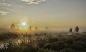 Миколині тумани... / 20.08.18.