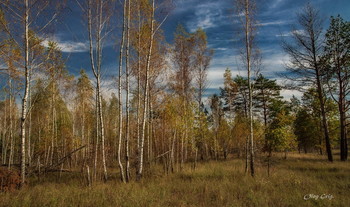 Небо Осенью дышало... / Осень.