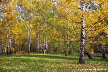 Осень в Зенковском парке / Прокопьевский район, Кемеровская область