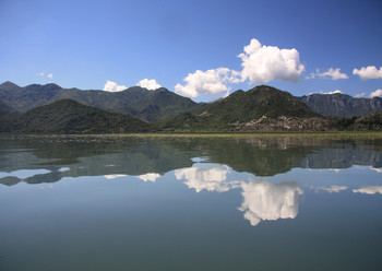 Отражение... / Скадарское озеро