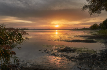 Закатный проблеск на хмуром небе / Осень 2020. Озеро Лиман.