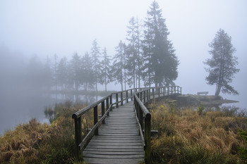 Мост и туман. / мост,туман,осень,озеро,деревья
